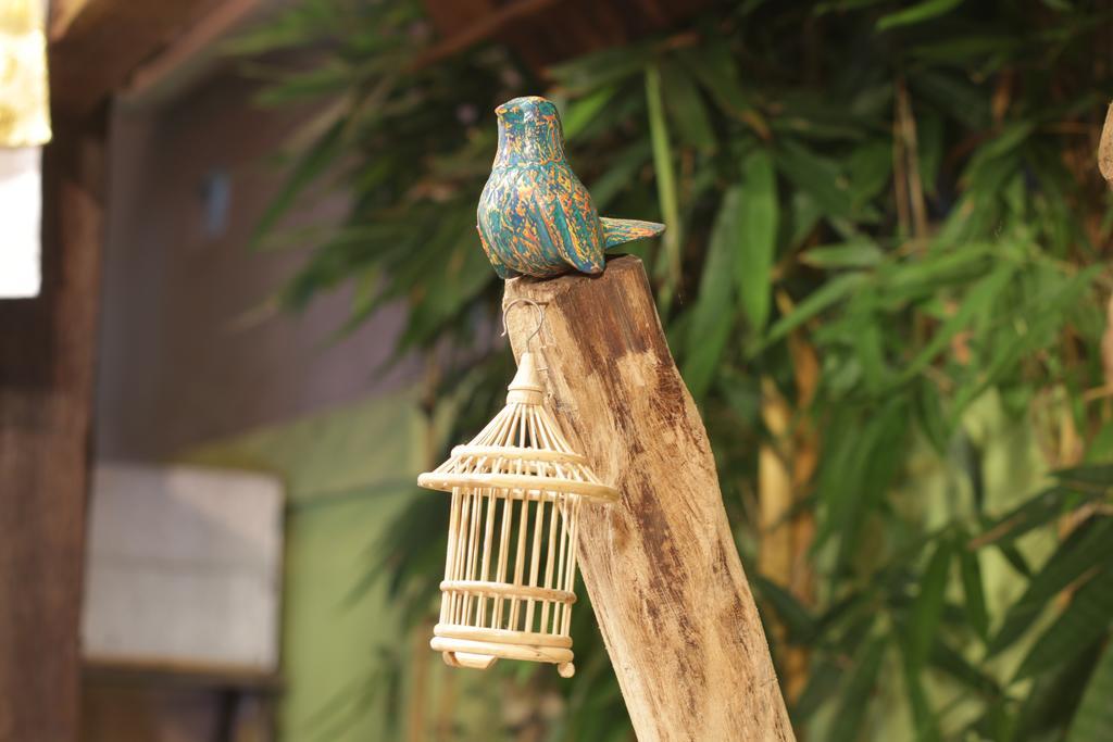 Green Bird Villa - Chse Certified Убуд Екстериор снимка